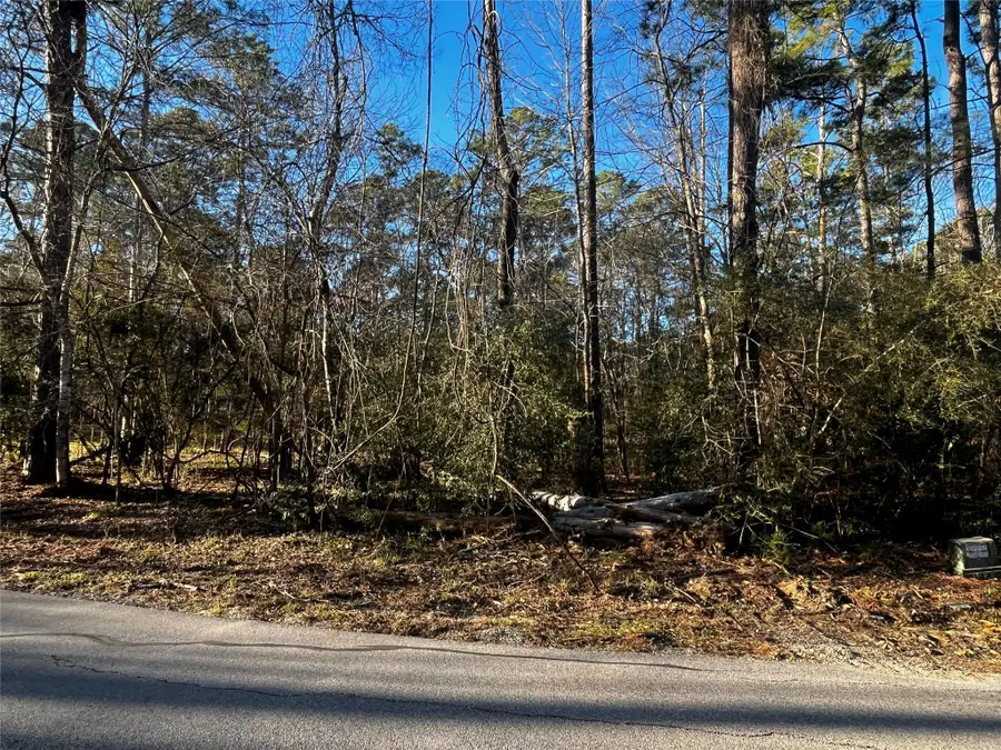 172 N Fairway Loop, Coldspring, TX 77331 - #2