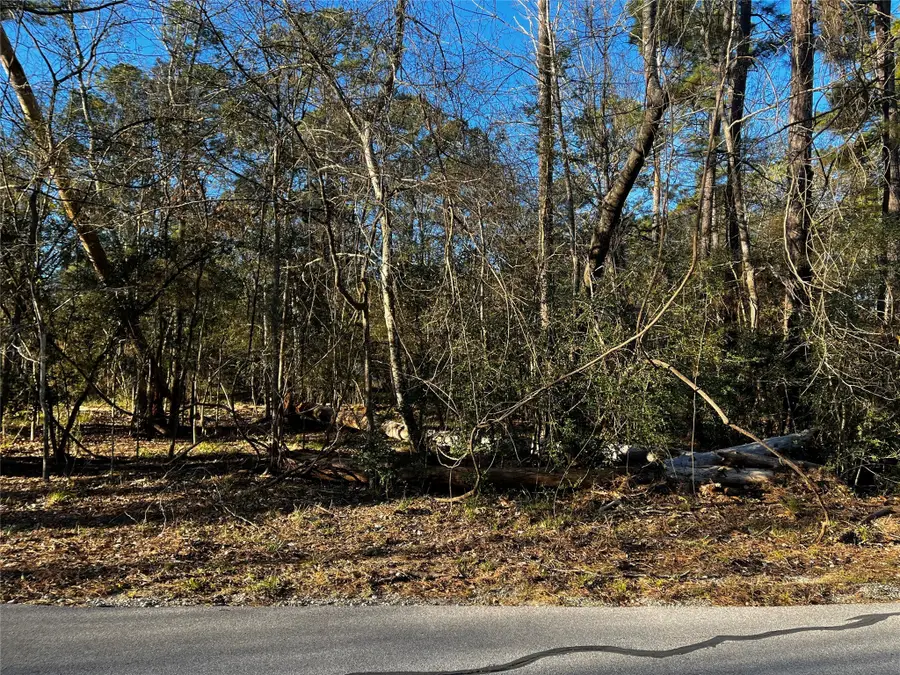 172 N Fairway Loop, Coldspring, TX 77331 - #3