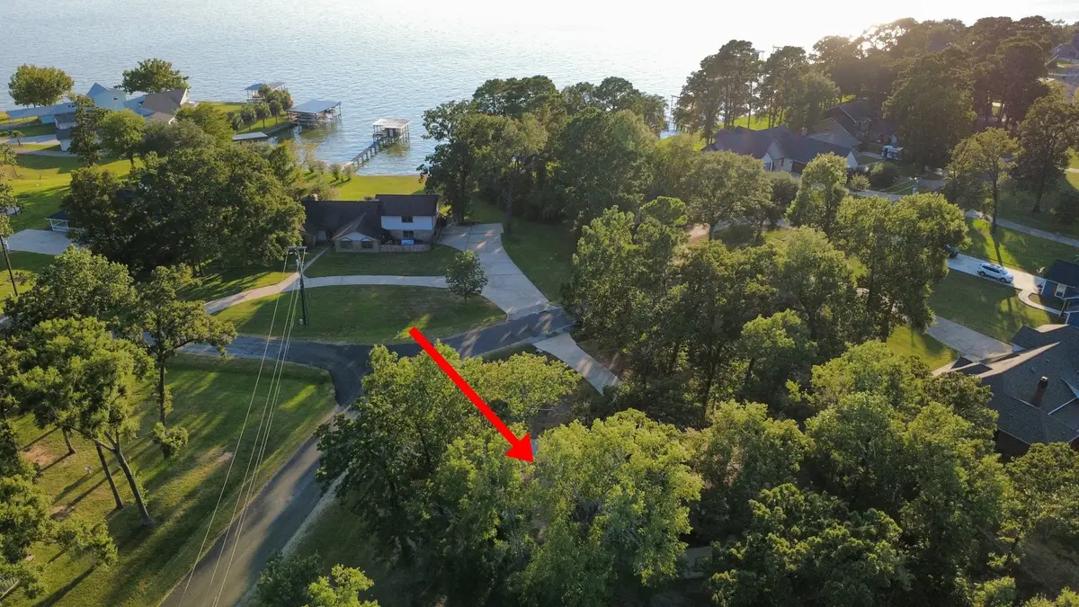 291 Buffalo Court, Livingston, TX 77351 - #1