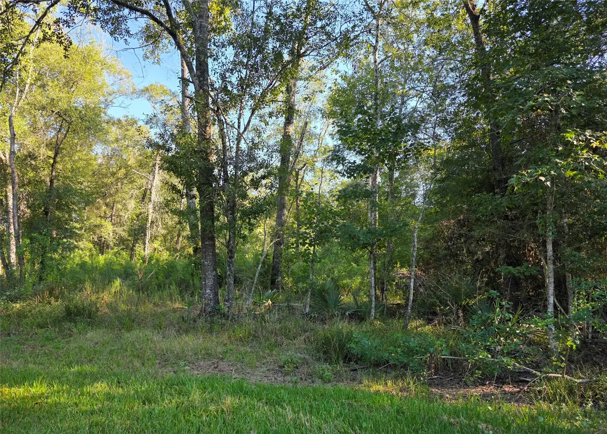 00 Tidwell Lane, Shepherd, TX 77371 - #1