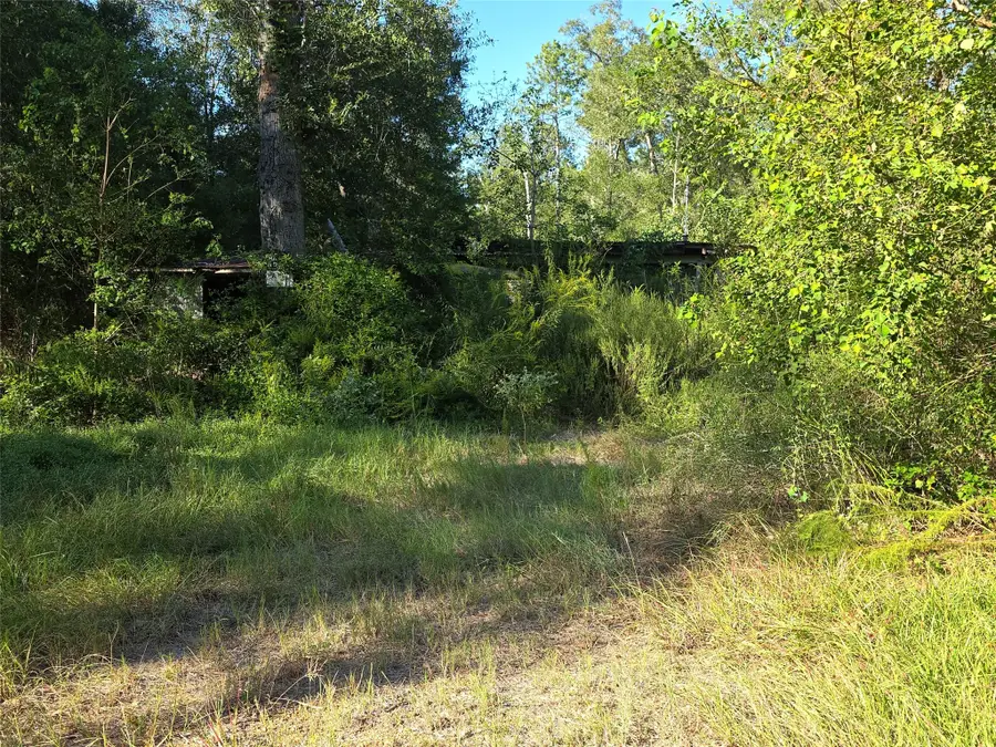 00 Tidwell Lane, Shepherd, TX 77371 - #2
