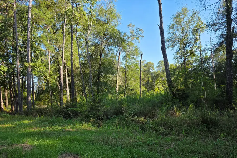00 Tidwell Lane, Shepherd, TX 77371 - #3