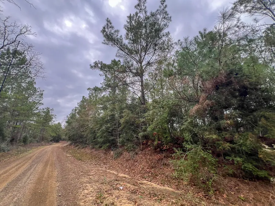 T-3 County Road 1019, Newton, TX 75966 - #3