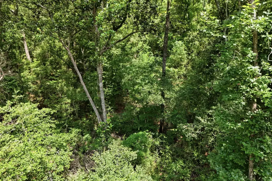 TBD Coleman Drive, Splendora, TX 77372 - #2