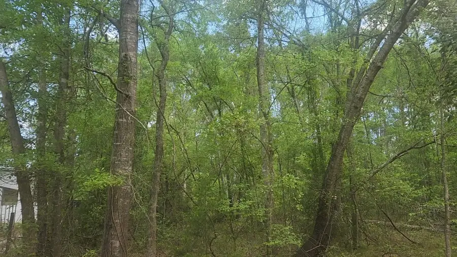 Lot 6 Thornwood Drive, Plantersville, TX 77363 - #3