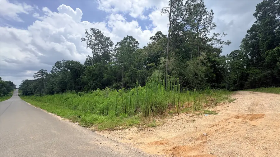 LOT 1 Millcreek Drive, Ivanhoe, TX 75979 - #2