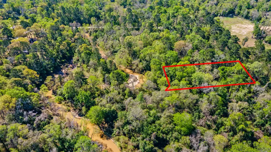 00 Lilac Lane, New Caney, TX 77357 - #3