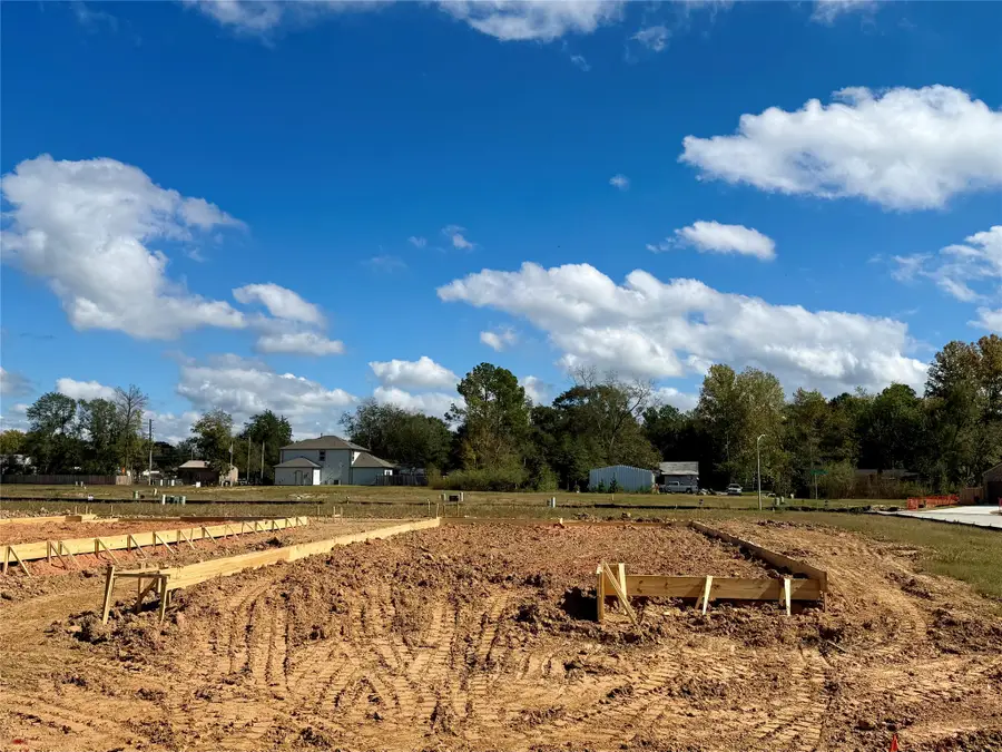 127 West Canopy Crossing Circle, Conroe, TX 77301 - Image #2