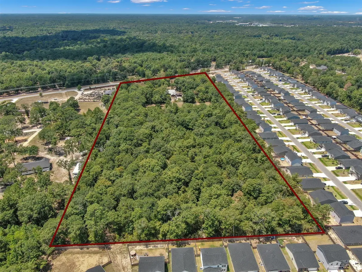 10173 Crockett Martin Road, Conroe, TX 77306 - #1