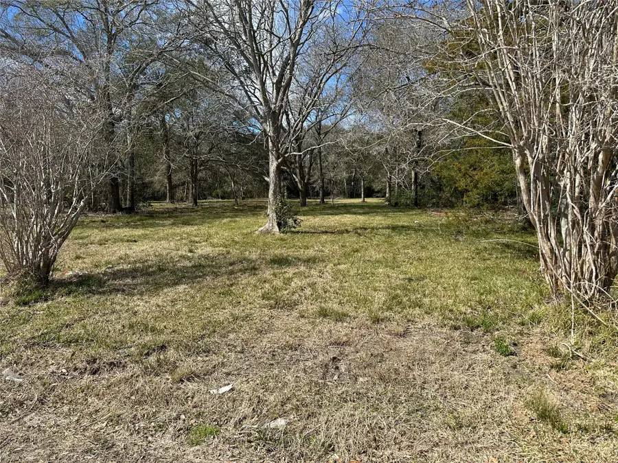 0 County Road 179, Alvin, TX 77511 - #3