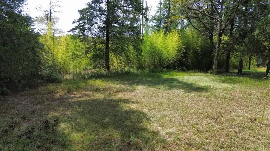 1156 County Road 2132, Burkeville, TX 75932 - #3