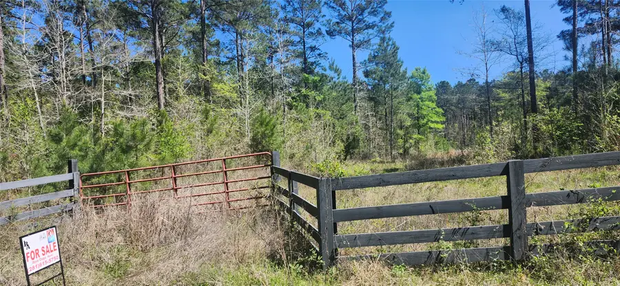 668 Wheeler Road, Livingston, TX 77351 - #2