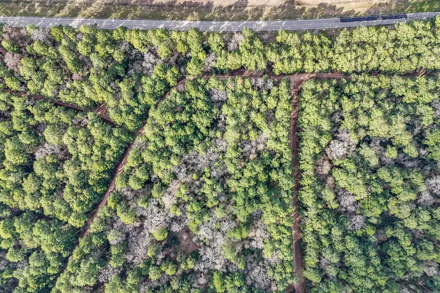 0 Hickory Bow Lane, Hempstead, TX 77445 - Image #2