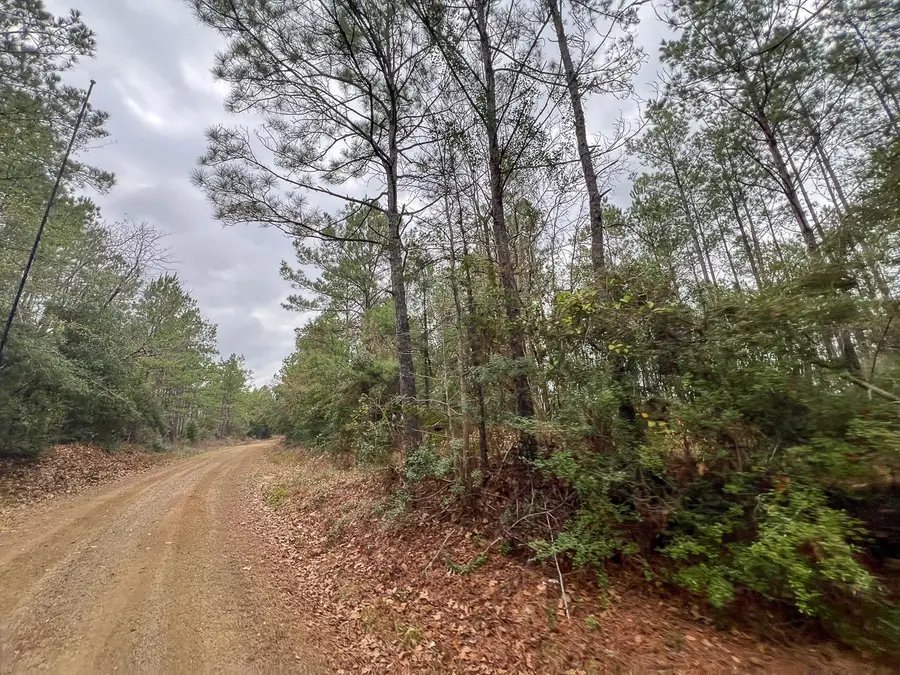 T-4 County Road 1019, Newton, TX 75966 - #2