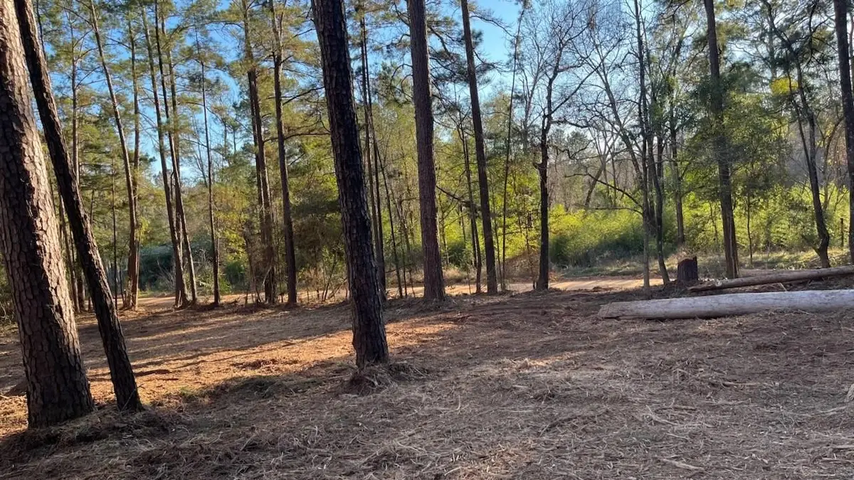 0 Monroe Drive, Livingston, TX 77351 - #1