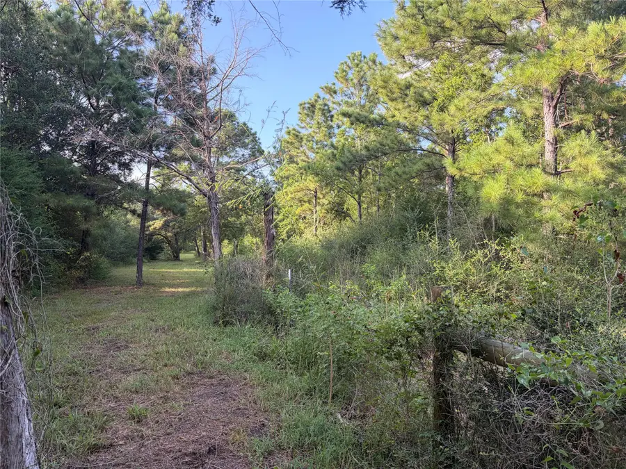 TBD Rice Road, Texas City, TX 77539 - #3