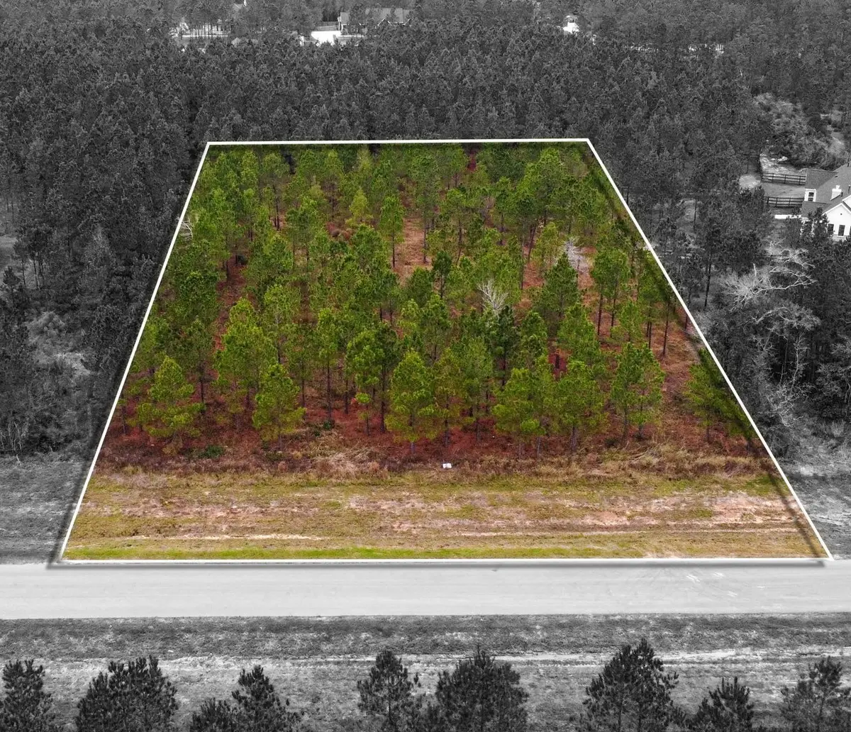 12677 Oak Barrel Road, Willis, TX 77378 - Image #1