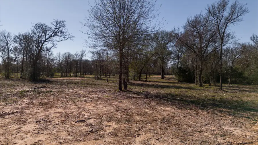 Tbd Tract 2 Wallace Rd, Madisonville, TX 77864 - #2