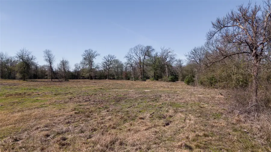 Tbd Tract 2 Wallace Rd, Madisonville, TX 77864 - #3