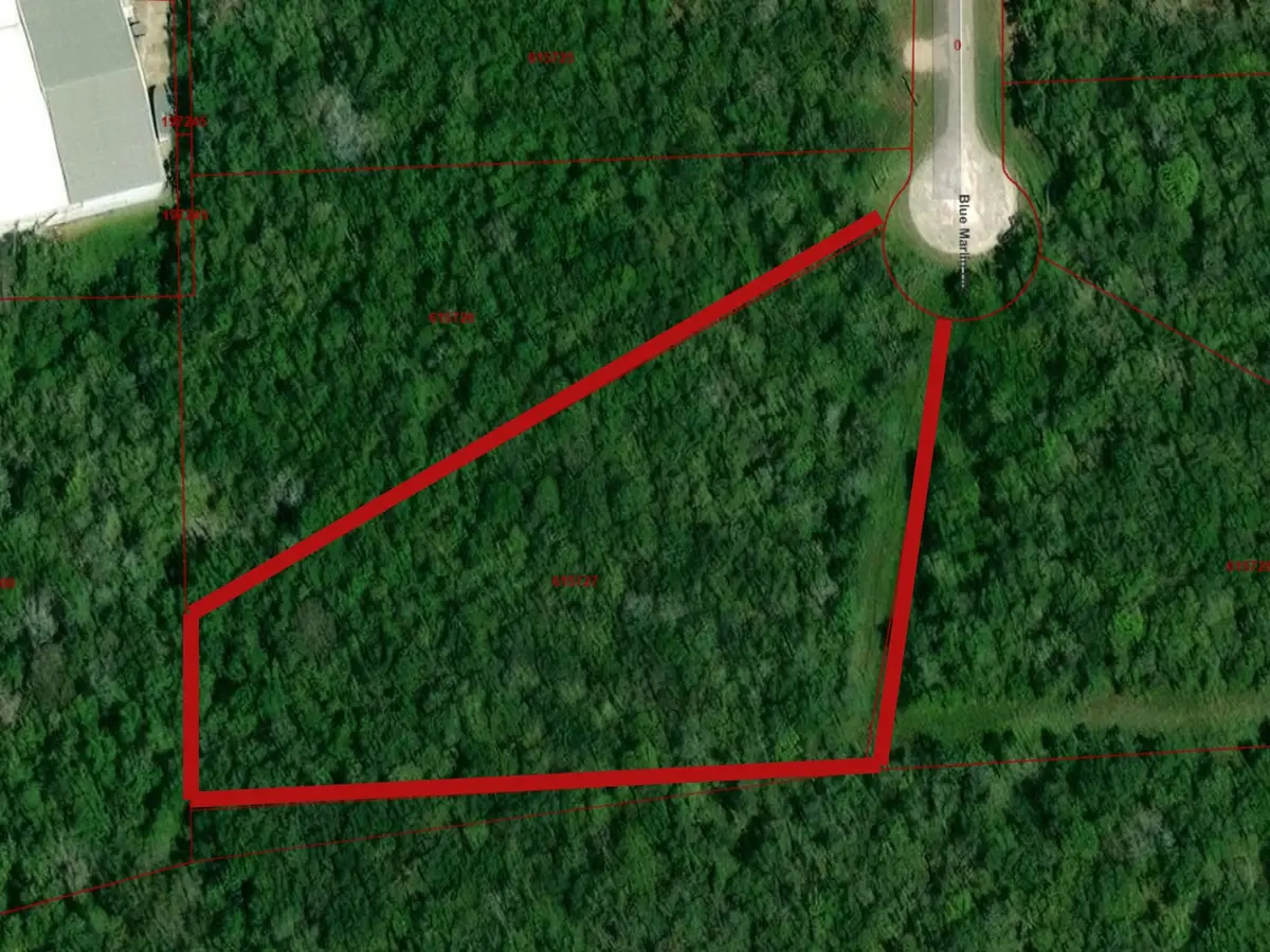 33726 Blue Marlin Drive, Richwood, TX 77515 - Image #1