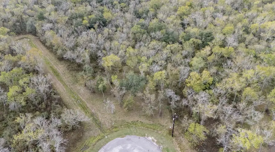 33726 Blue Marlin Drive, Richwood, TX 77515 - Image #3