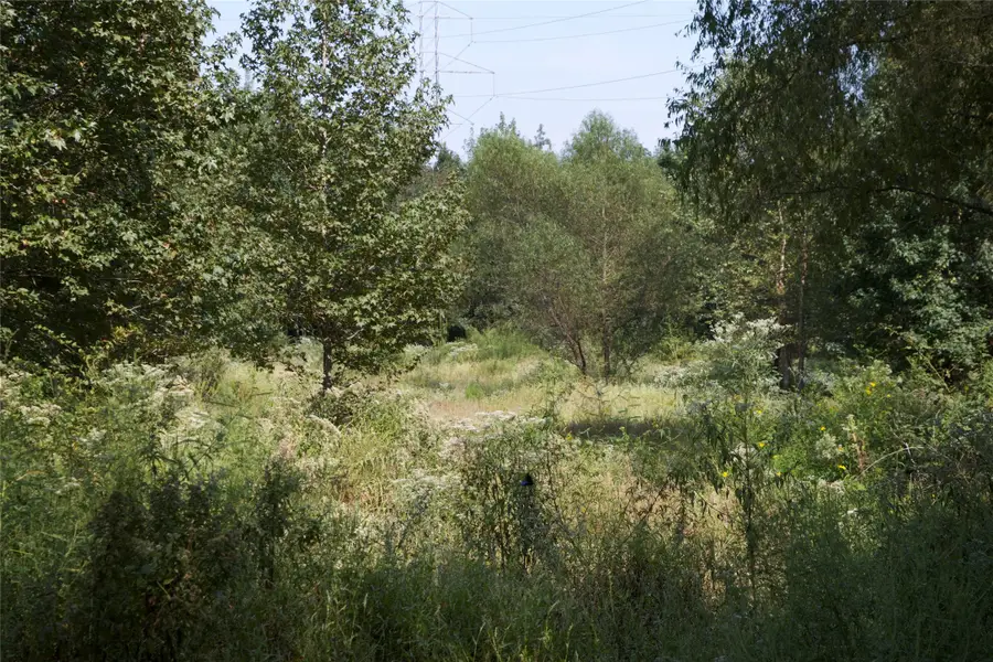 3109 Jan Road, Omaha, TX 75571 - #2