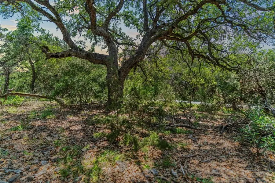 1001 Bluff View Road, Wimberley, TX 78676 - #2