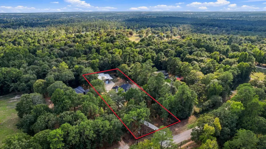 19691 Village Forest Drive, Montgomery, TX 77356 - #2