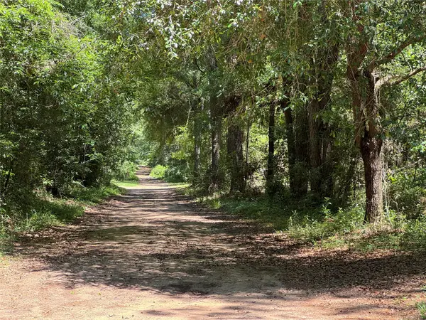 TBD Holly Grove Road, Livingston, TX 77351