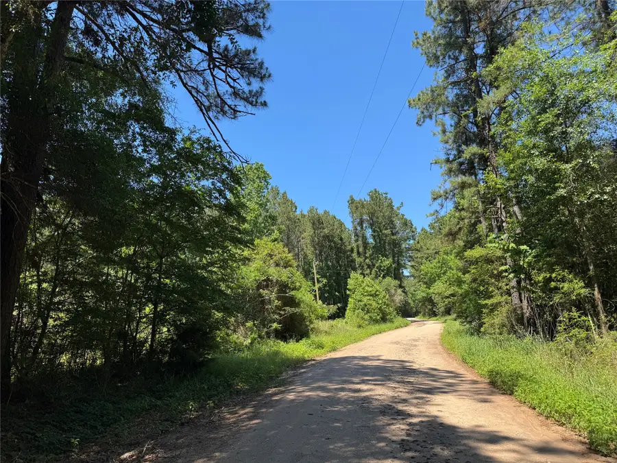 TBD Holly Grove Road, Livingston, TX 77351 - #3