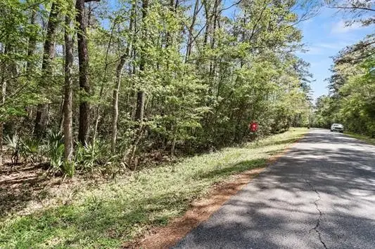 000 Lakeview Drive, Sour Lake, TX 77659 - #2