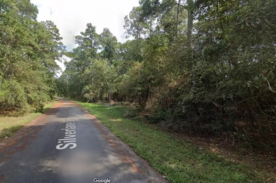 3362 Silverline Drive, Houston, TX 77338 - #2