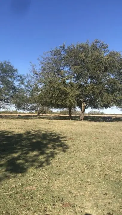 0 Lcr 300, Mart, TX 76664