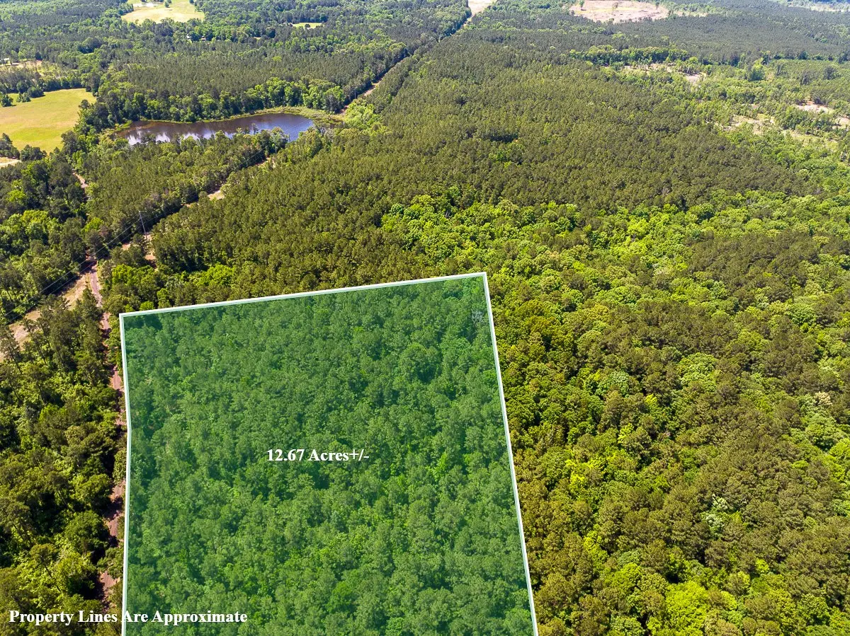 1 County Road 1115, Atlanta, TX 75551 - #1