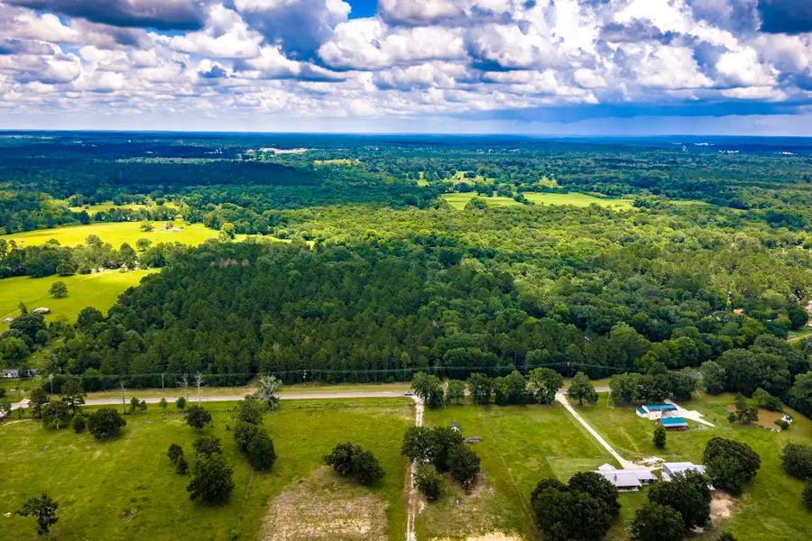 1204 Mangum Road, Livingston, TX 77351 - #3