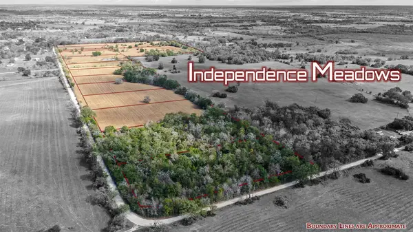 Lot 1 County Rd 229, Bedias, TX 77831