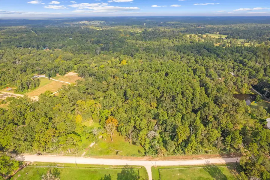43 Stewart Road, New Waverly, TX 77358 - #2