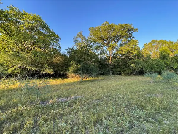 0 Mule Creek Road, Harwood, TX 78632