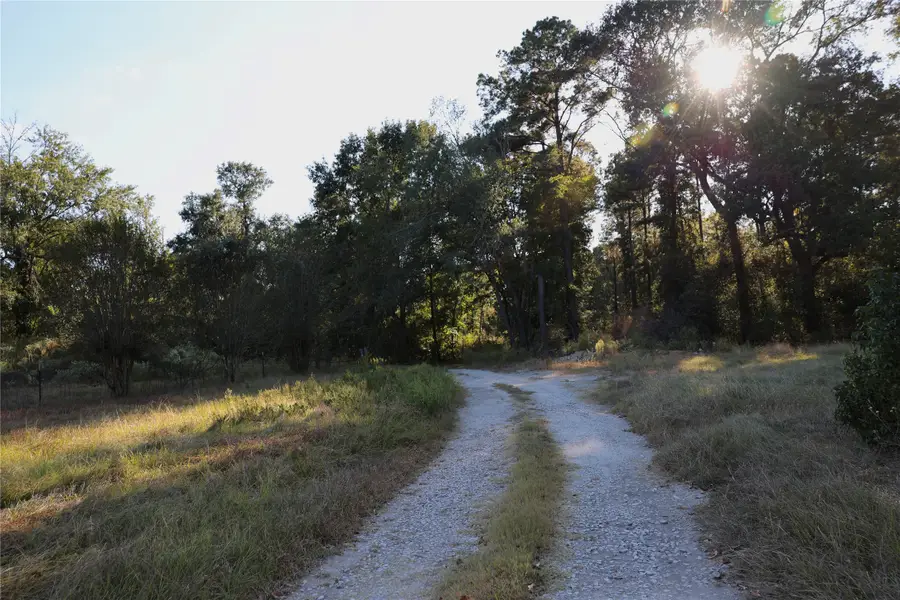 2263 Fm 247, Midway, TX 75852 - Image #2