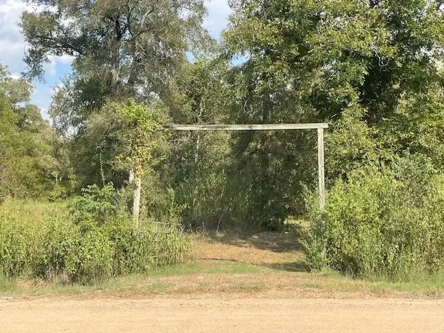 0 Tierra Grande Drive, Needville, TX 77461 - #1