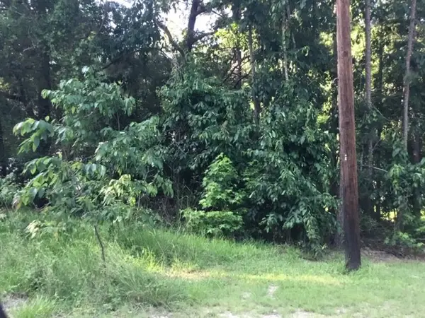 000 Water Tower, Onalaska, TX 77360