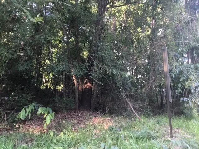 000 Water Tower, Onalaska, TX 77360 - #2