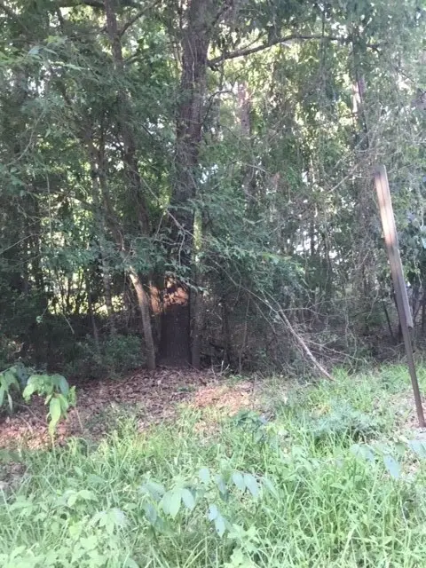 000 Water Tower, Onalaska, TX 77360 - #3