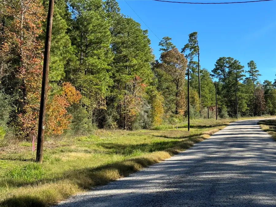 4b-6-222 Red Hawk Road, Huntsville, TX 77340 - #3