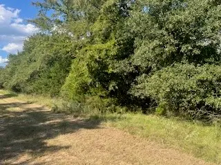 TBD Lcr 898, Jewett, TX 75846 - #3