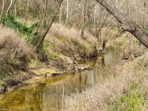 TBD County Rd 4876, Dayton, TX 77535