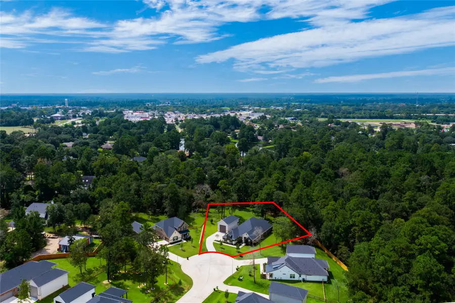 613 Blue Mockingbird Court, Magnolia, TX 77354 - #3