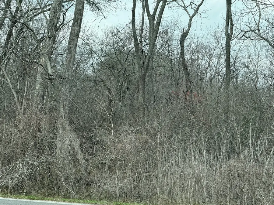 00 Fm 1462, Rosharon, TX 77583 - #2