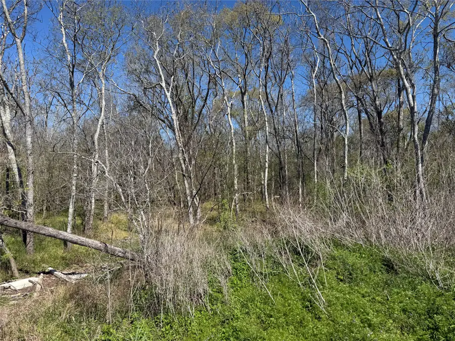 00 Fm 1462, Rosharon, TX 77583 - #3