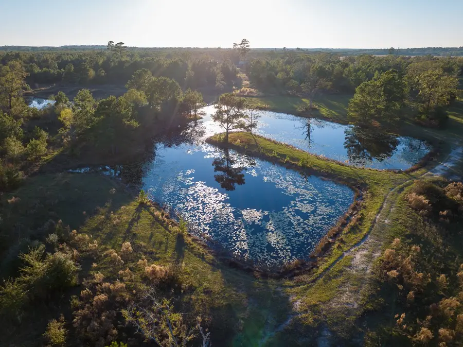 82B Ron Walker Lane, Bedias, TX 77831 - Image #3